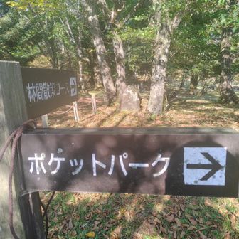 ポケットパークへ