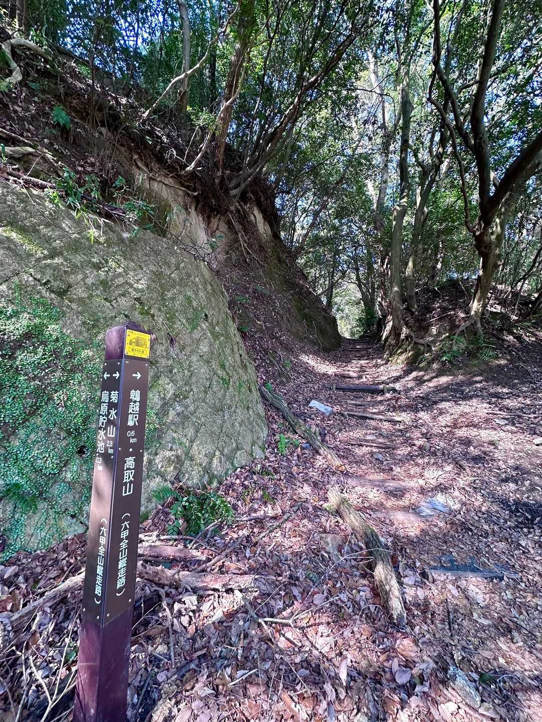 鵯越駅-石井ダム登山口-菊水山-鈴蘭台駅 縦走コースの写真