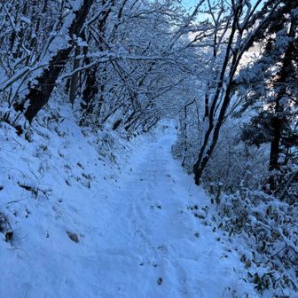 こちらは、雪があまり降らなかったのか少なめでした