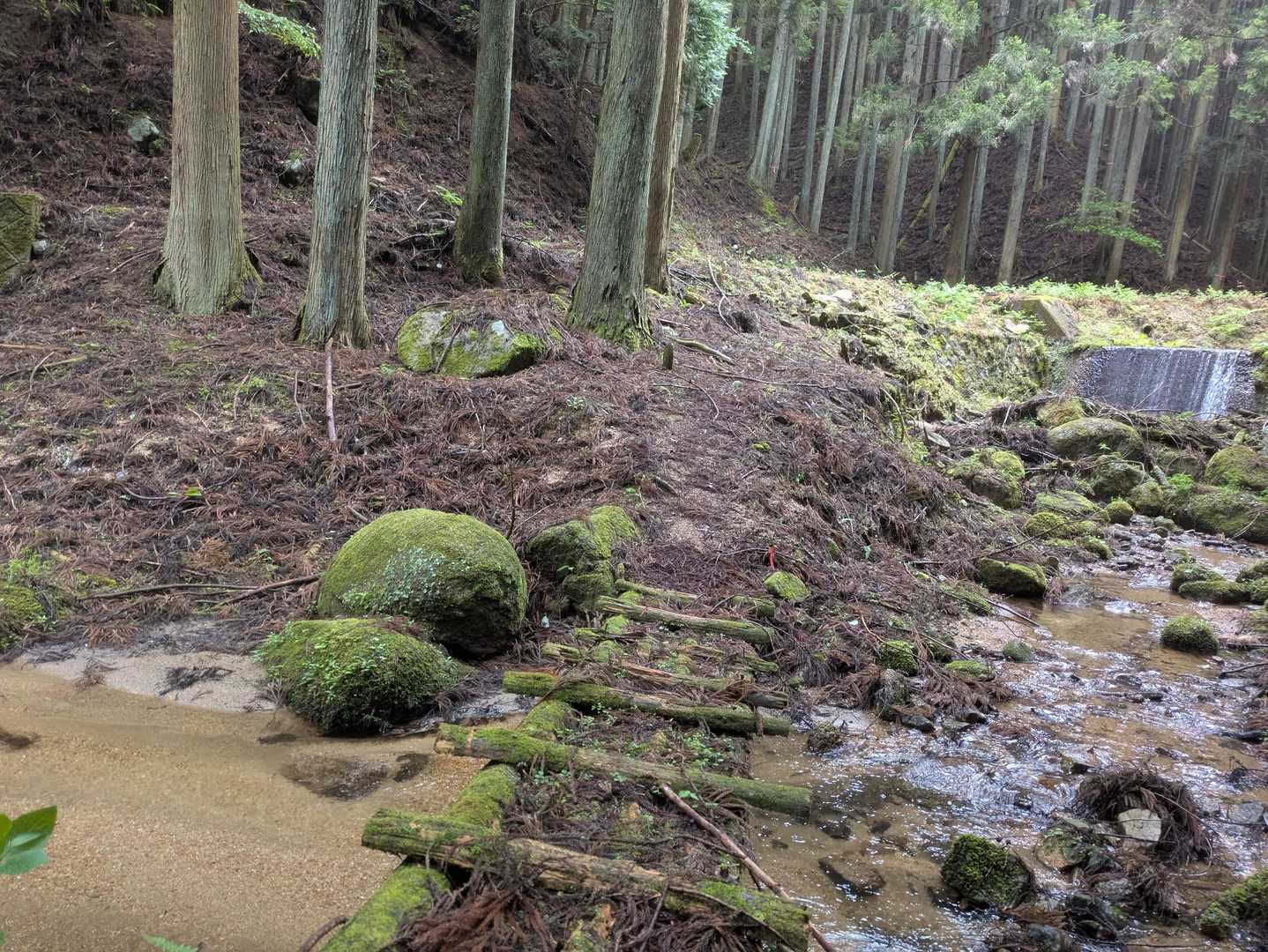 なんとか周回を終えて舗装路に出ました
ようやく安堵です😊