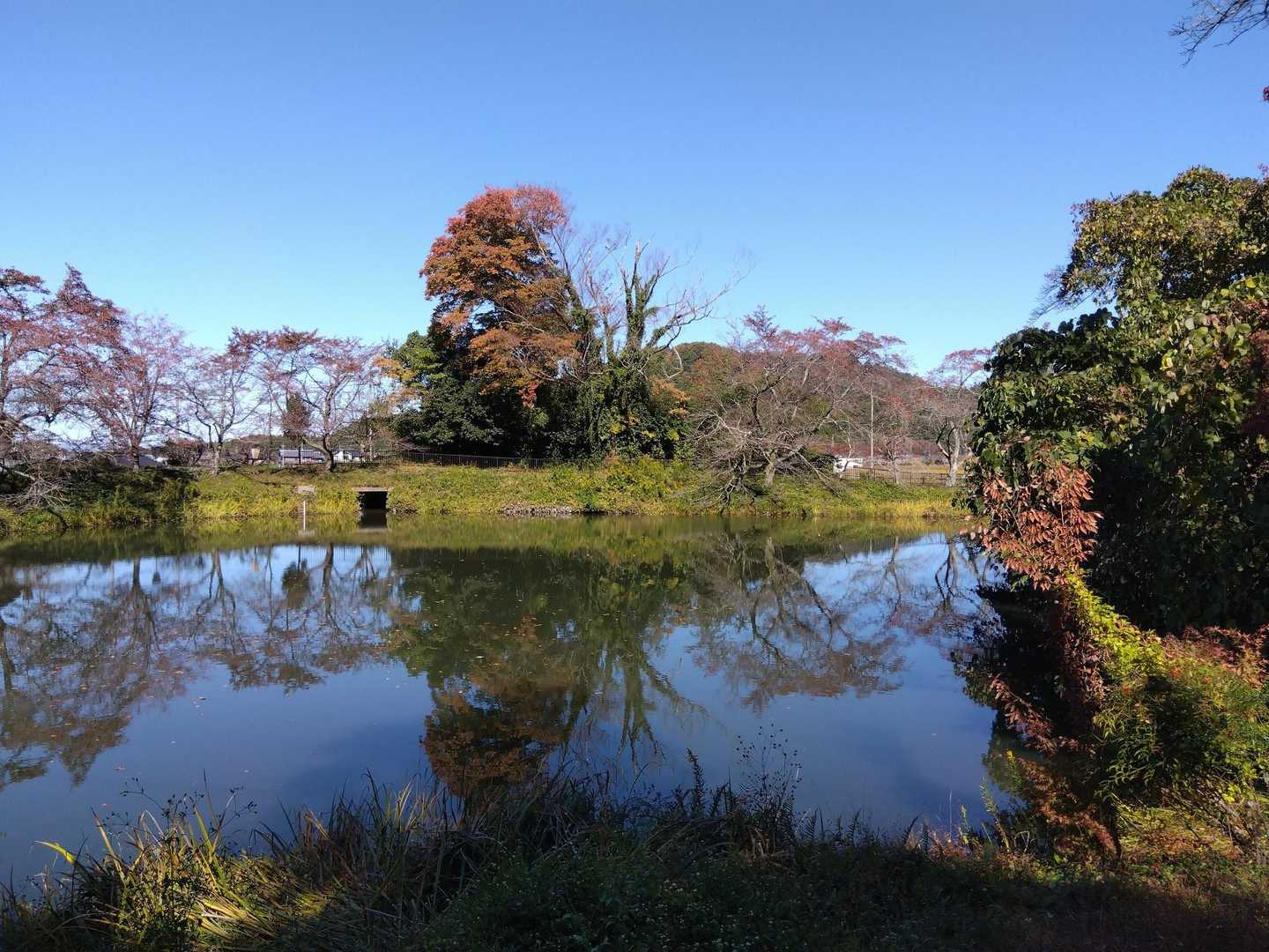 下りてきました。この池の横に車を停めてくださいということです
