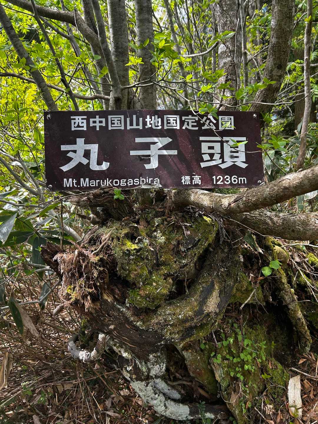 忘れずに訪れて