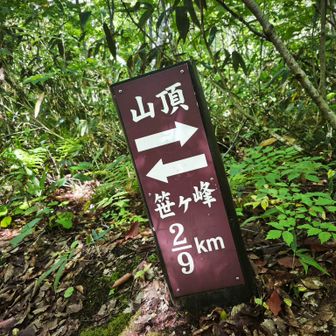 2/9km
この辺りまでは、比較的緩やかな傾斜の木道が続きます