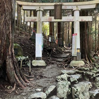 ビジターセンターから神社とは反対方向に行くと登山道で、すぐに一の鳥居が見えます。