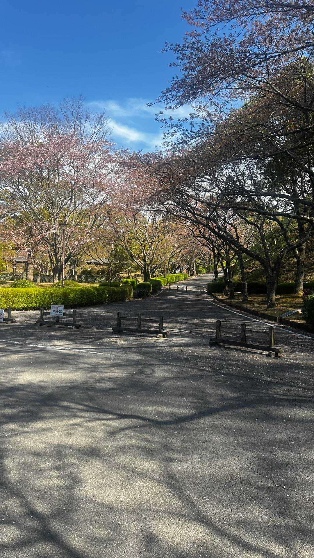 神山森林公園の🅿️から