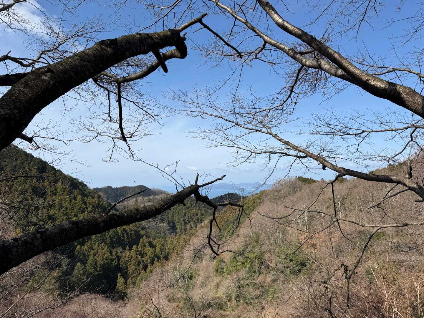 木には邪魔されてますが、海が見えます