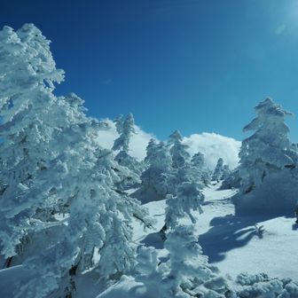 そろそろ現在開始します。
