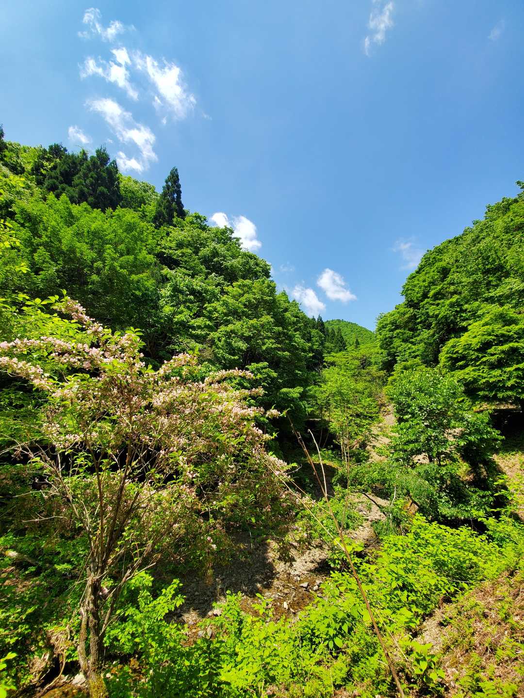 今日も快晴に感謝☀☀☀
まあ、快晴を狙って行ってますので😝