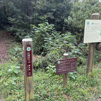 桜峠着。西側に展望があります