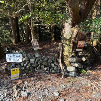 熊出没情報、直近は令和6年だった