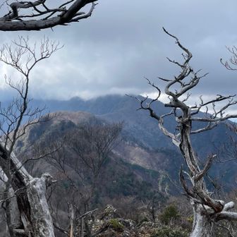 祖母山山頂がガスに隠れてしまってきたので、食事は切り上げて下山を開始します