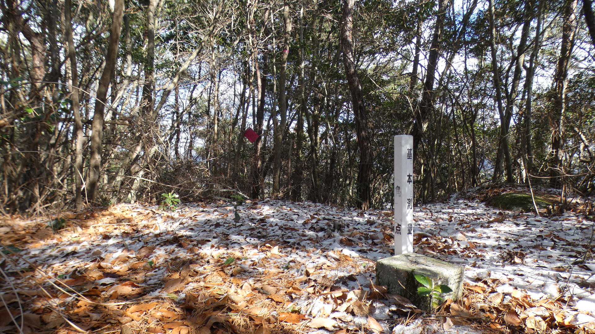 石岳山山頂
三等三角点
基準点名：小多（おだ）

ここまで結構長く感じた。
さあ、引き返そう。

石岳山山頂には反射板があって、黒瀬方面の眺めがあるのだそうです。（後で知る）
山頂の少し北にあるんでしょうね。
