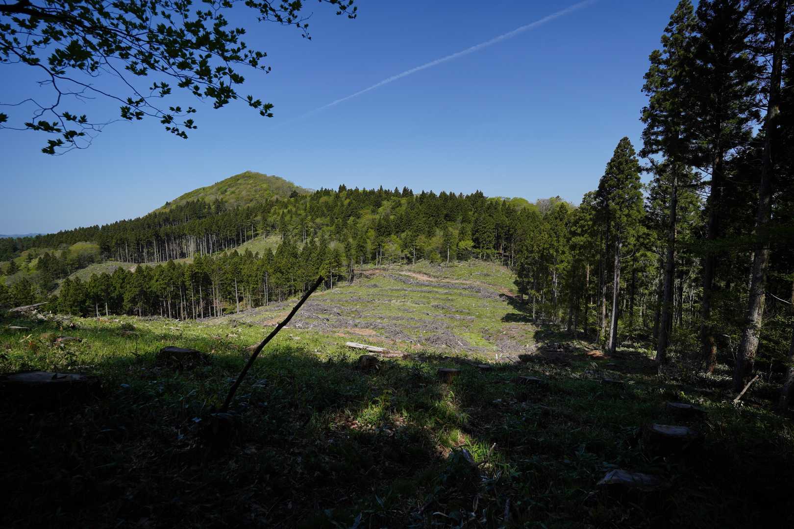 次は西大峯山を目指します
見えてるあのお山かな？