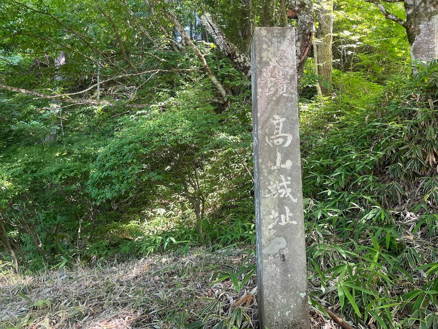 高山城跡
