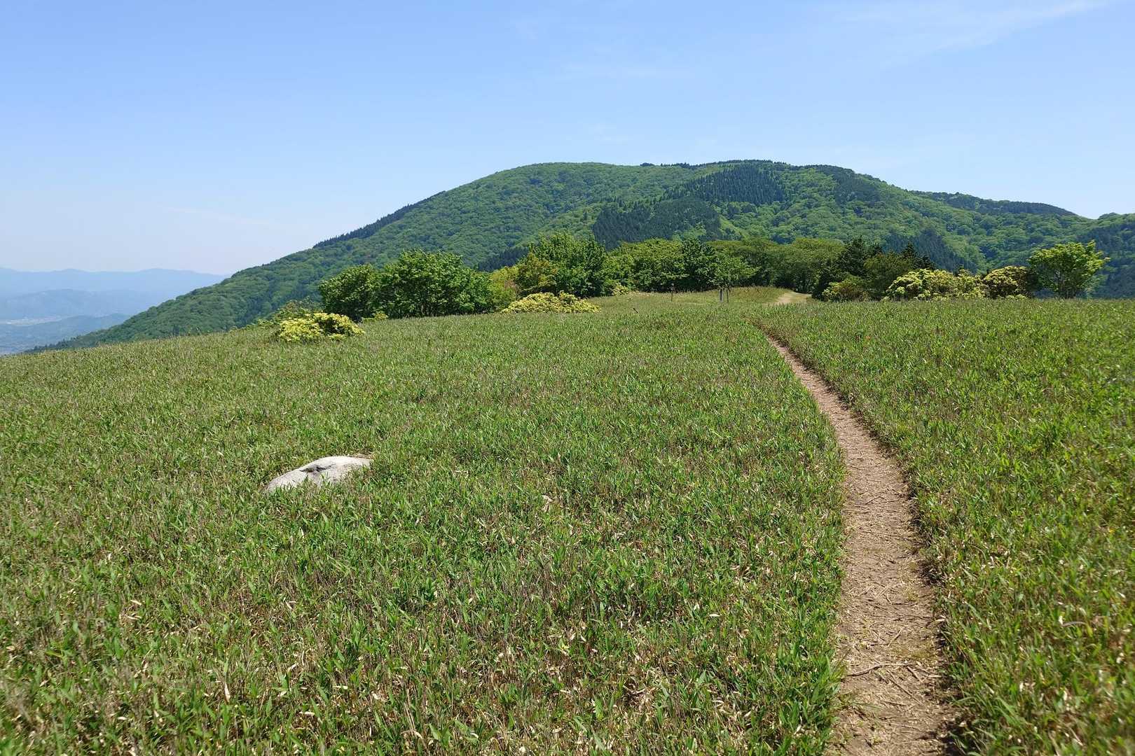 大江山 往復コースの写真