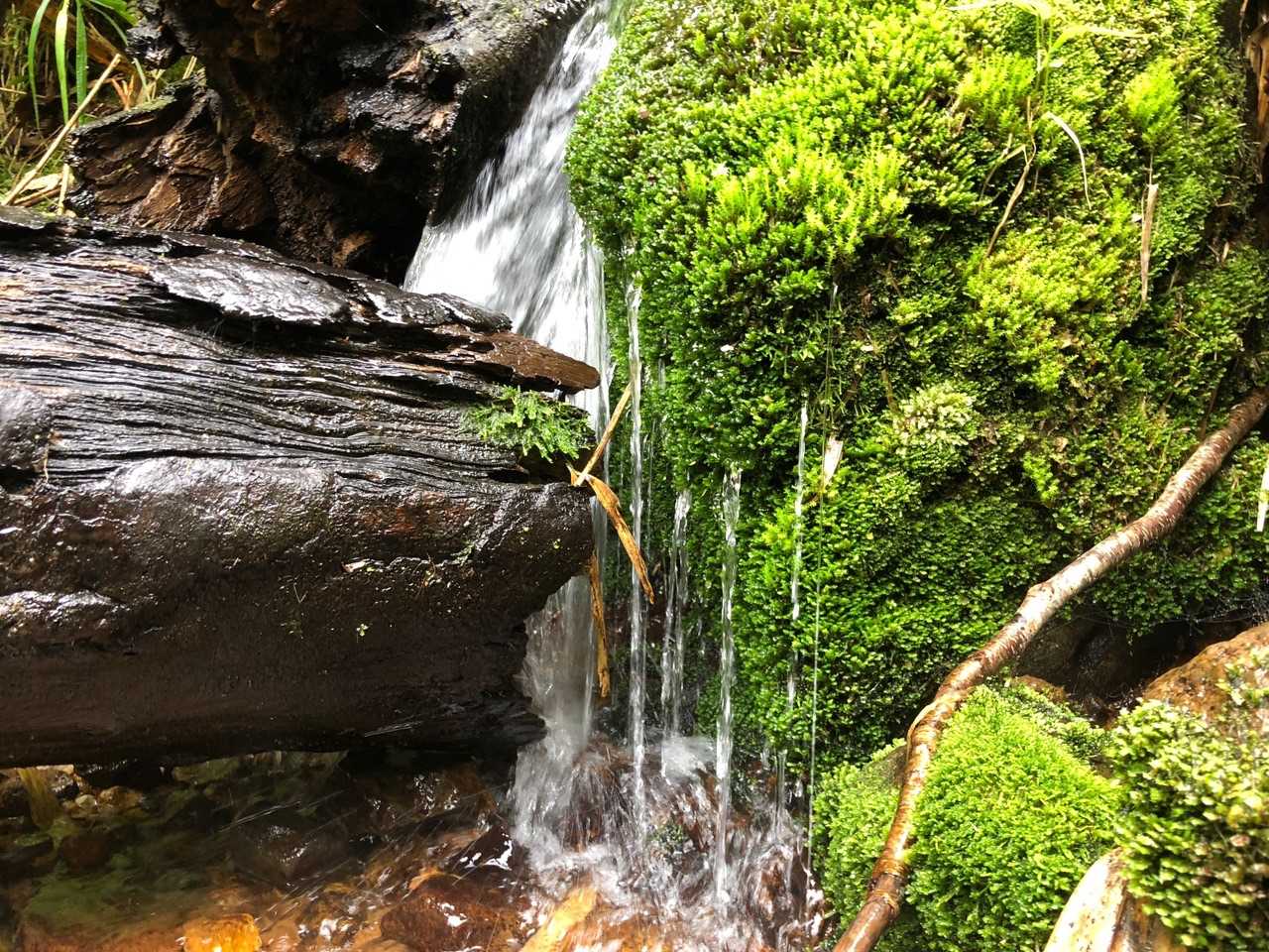 お気に入りの1枚
