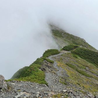 一瞬 赤石岳へと誘う稜線が見え…