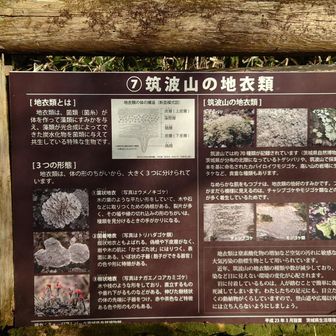 今日はお勉強するものが多いです