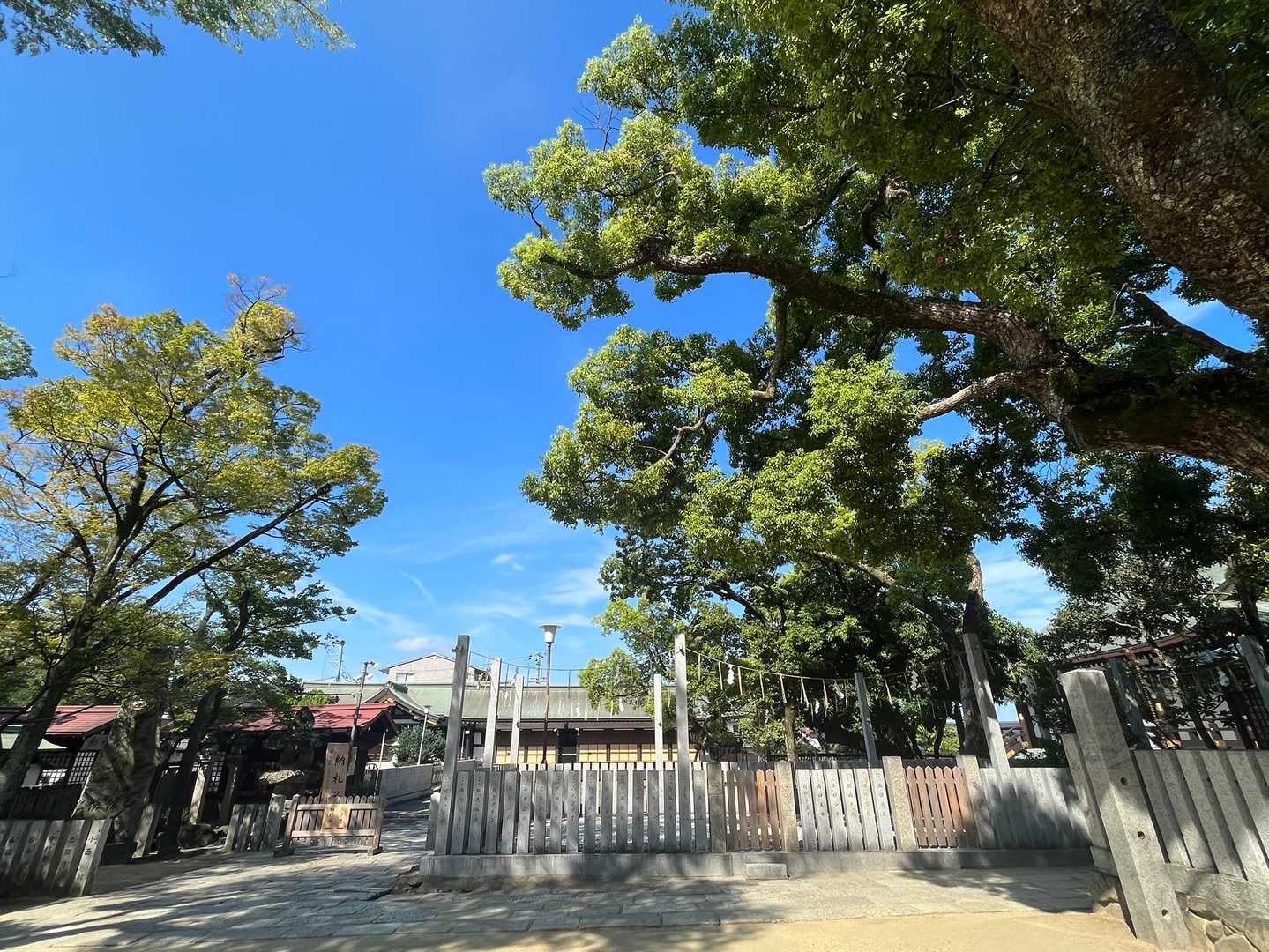 石切神社⛩️
お百度参り…沢山の方がしておられました！
百回回るのに結構時間がかかって、距離もそこそこ歩いてたようです！（活動記録の距離が長めなのはそれが原因！）