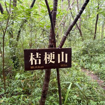 最初のピーク
でも、茶室跡はなし、
後で調べたら、この先を更に進めば、茶室跡があったらしい
