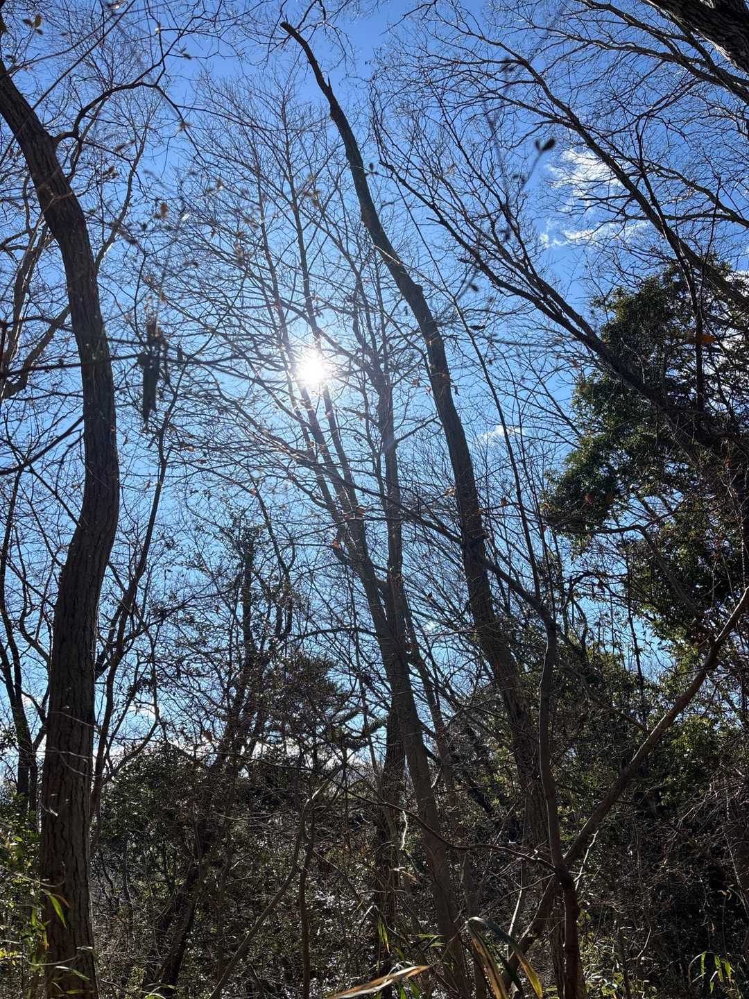 眺望は良くない
上を見れば青空🟦と太陽☀️