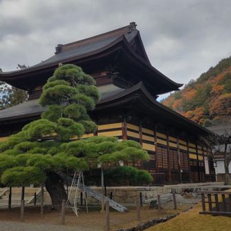塩山向嶽寺　建物も後ろの山も手前の松の形も美しい。

塩ノ山はその立地から「しほう=四方から見える山」が由来らしく、1380年向嶽寺を開山した時に「塩山」の字を充て山号としたそうです。

ここの庭園は山梨県内にある４つの国指定名勝の一つです。ちなみに他の３つは恵林寺庭園（甲州市）、猿橋（大月市）、富士五胡（富士河口湖町、山中湖村、身延町））

何だか観光用パンフみたいになった〜