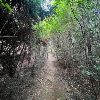 もうすぐ山頂