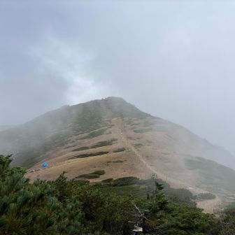 目指す根石岳