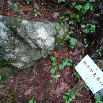 誰も、ほぼ通ってない道ですよね…フワフワすぎて滑りまくります