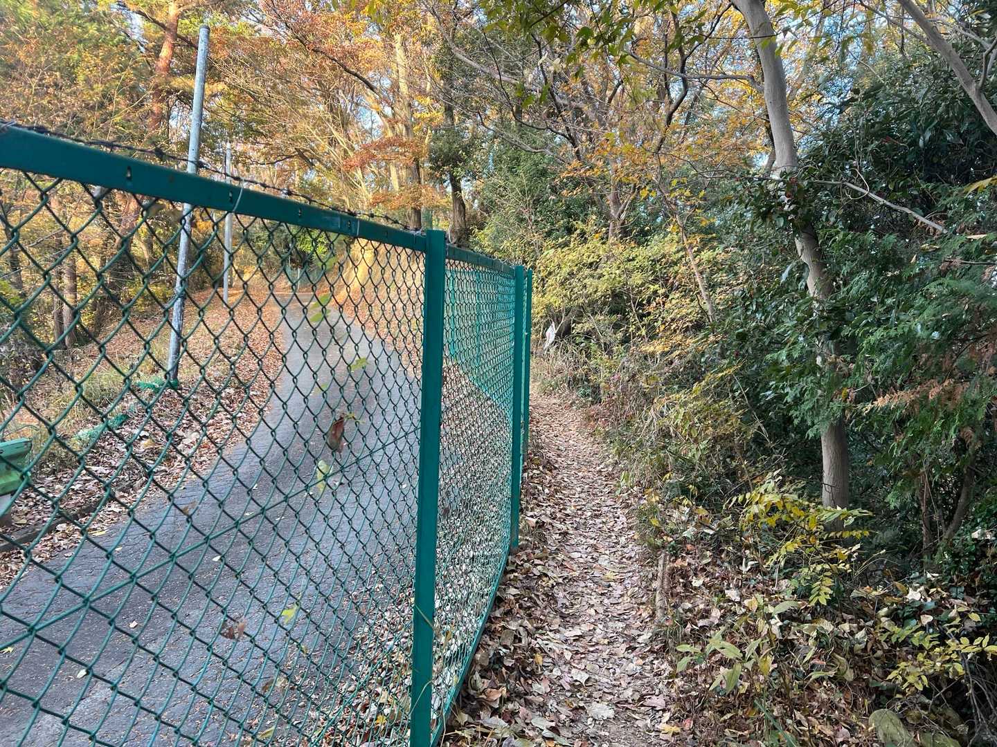 ゴルフ場の脇を歩きます。