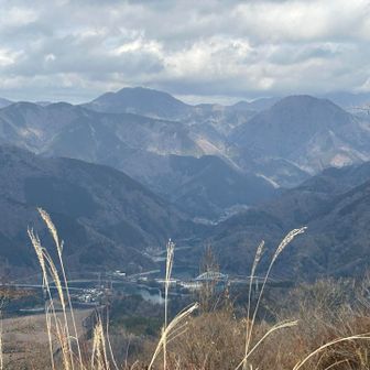 西丹沢　畔ヶ丸？
