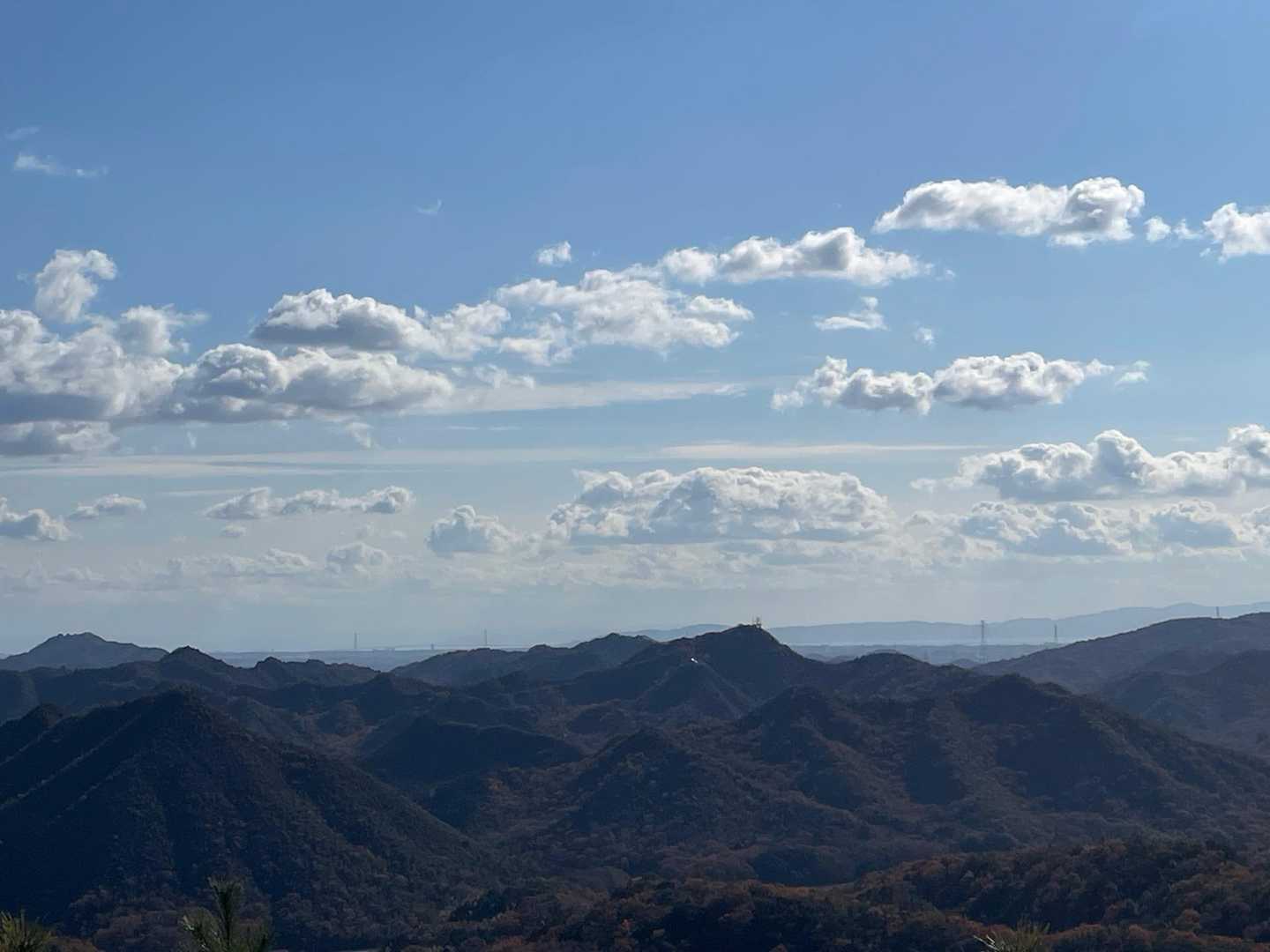 藤ノ木山登山口-藤ノ木山 周回コースの写真