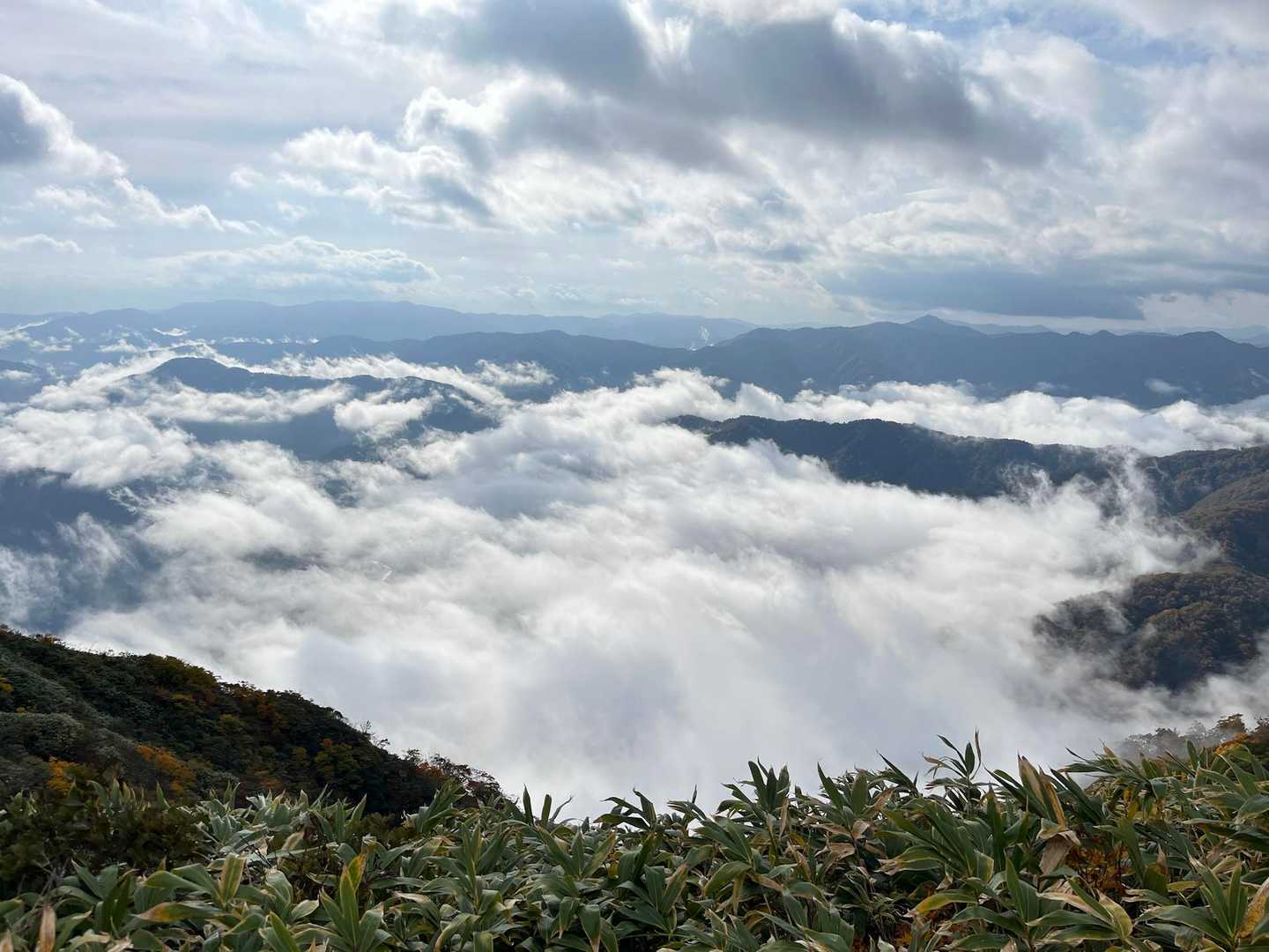 陽に照らされて
雲海が動きだしてます