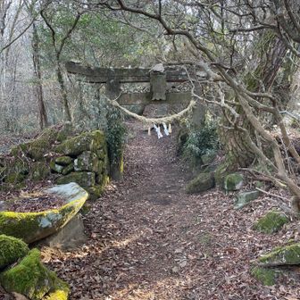 東峰の鳥居