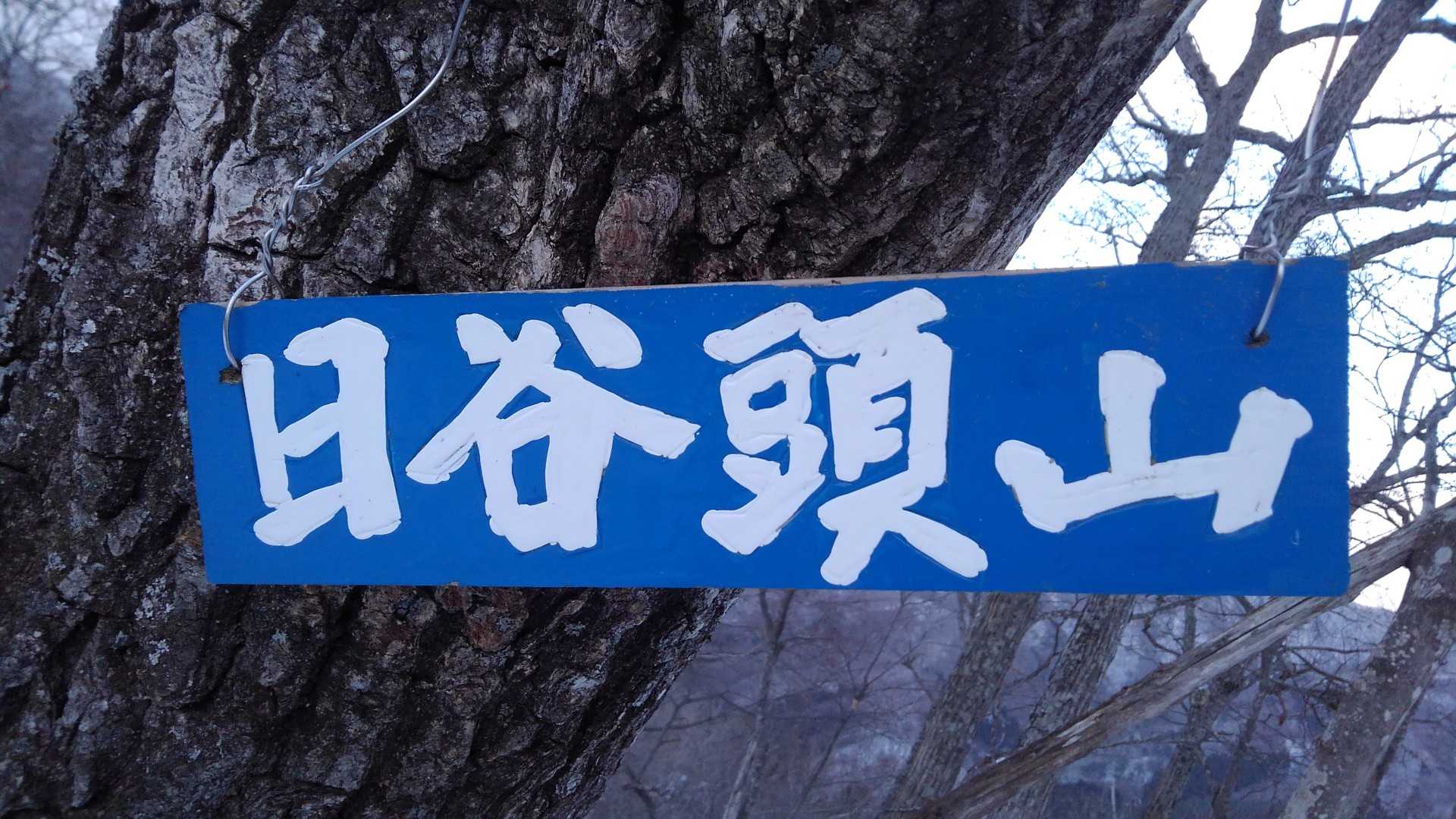 さっさと帰ってビール飲まねば(笑)