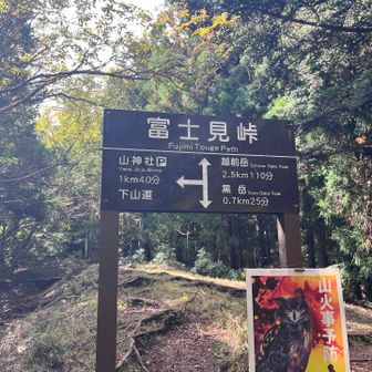 では下山です
標識がしっかりしていて有り難い