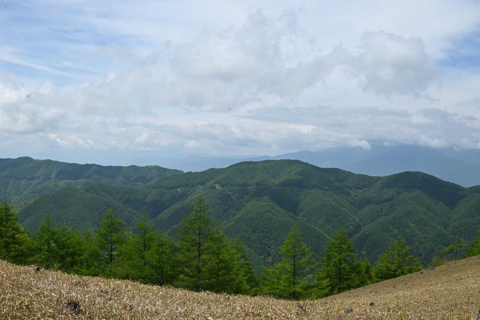 📸ここから『パノラマ尾根の頭』までは開けています。穂高連峰は雲の中☁️

この辺りに熊の糞💩らしきものが100mほど離れて2ヶ所に落ちていました。1〜2週間は経っているかと思いますが、注意⚠️が必要です‼️