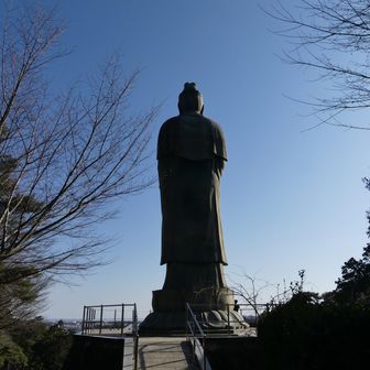 塩船平和観音立像の背中