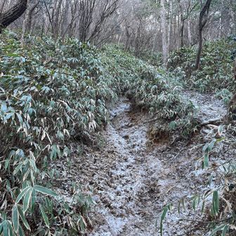 先へ。雪とも霜ともつかぬものでやや滑る尾根道。