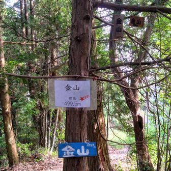 金山に登頂 ＼(^o^)／ 岡山市の最高峰です👍️