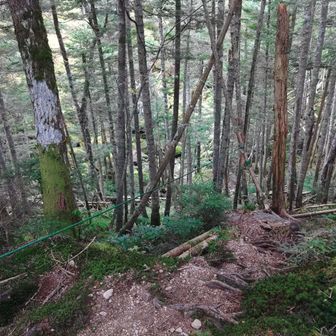 やっと地獄谷
ちょっと寄り道
20m程下れば良いのだが、もうココまでで充分😅
覗いたから帰ろ