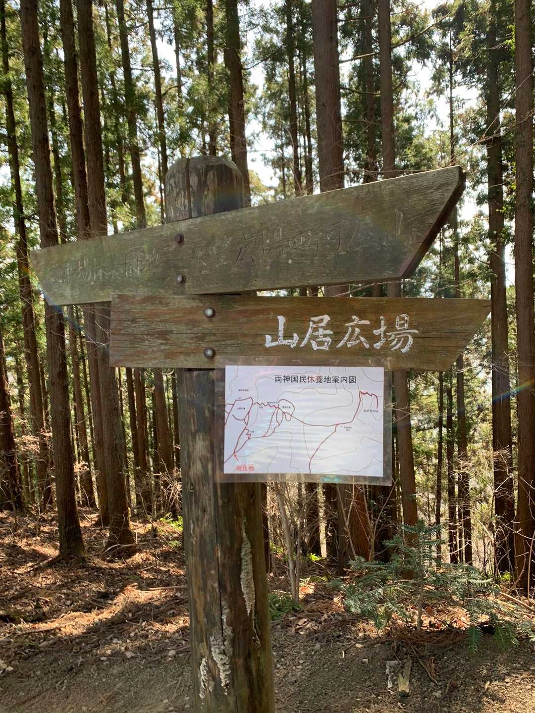 四阿屋山 往復コースの写真