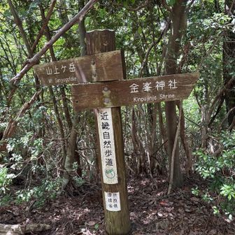 金峯神社までとりあえず行こう！トイレあるし！と嫌がる相方さんを丸め込む