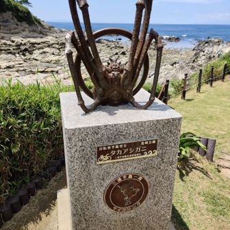 他の人の日誌で見てたタカアシガニのモニュメントをやっと見つけました😅

ただ、これに気を取られ、横須賀市の市花「ハマユウ」広場なのにハマユウ撮り忘れたんですけどね😅