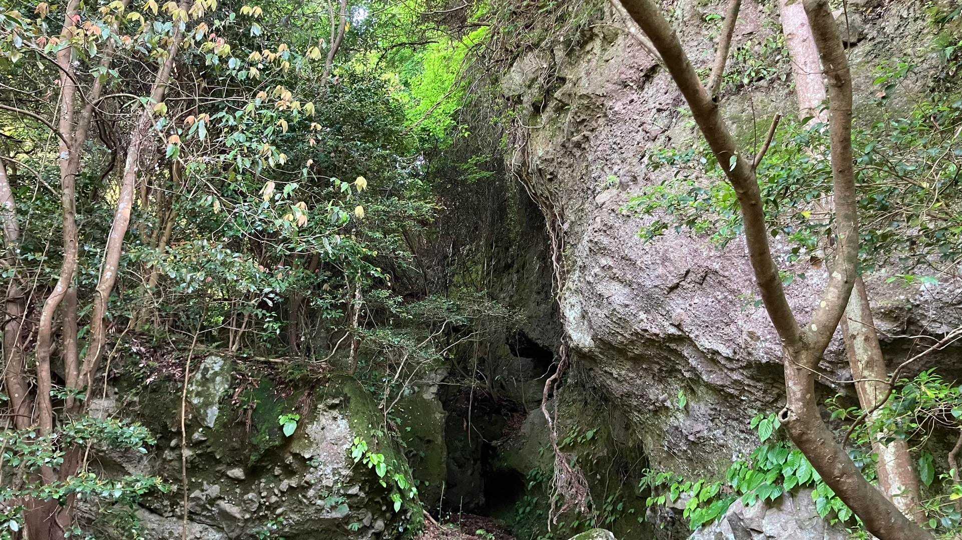 昔はドライブコースのイメージだった八面山
登ると自然豊かで大きな岩がすごい
