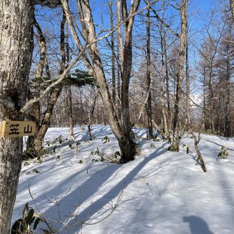 一の鳥居から90分かけて到着した山頂は素っ気ない。
これが本来の山の姿。その時は感動は薄いけど、今思い返すとそれはとても嬉しいことなんだ。
