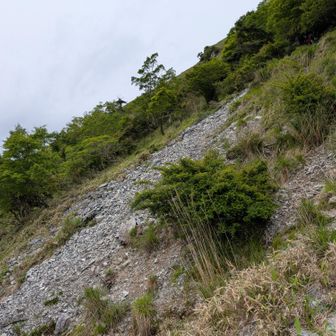 滑るので注意⚠️