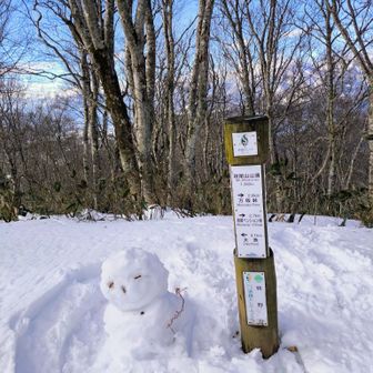 斑尾山山頂1382㍍
雪だるま☃