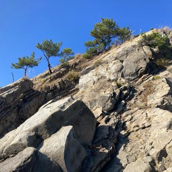 登りたくなる岩いっぱい
自分では 登ってないと思ってたけど