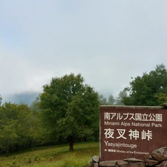 夜叉神峠まで下りてきた（雲間に突入）